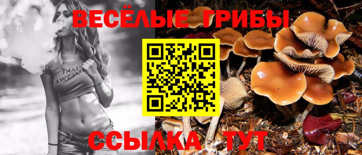Галлюциногенные грибы MAGIC MUSHROOMS  Вход с VPN  Владикавказ 